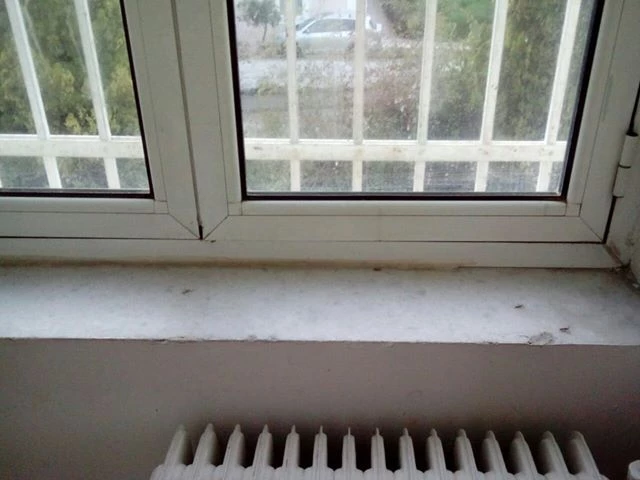 Δρομοκαϊτειο: Καλύτερα θα ήταν οι ασθενείς στο δρόμο – Βρώμα και κοριοί μέσα στο νοσοκομείο (Εικόνες)